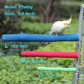 img 1 attached to 🐦 KINTOR Bird Perch - Rough-surfaced Natural Wood Stand Toy Branch for Parrots (Colors Vary)
