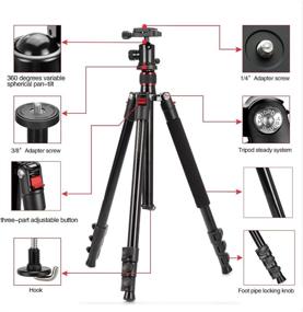 img 2 attached to 📷 Mcoplus CT-628: Lightweight 63-inch Camera Tripod with 360° Ball Head, Quick Shoe Plate, and Bag