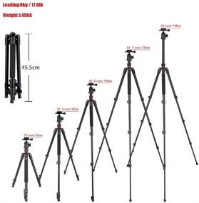 img 1 attached to 📷 Mcoplus CT-628: Lightweight 63-inch Camera Tripod with 360° Ball Head, Quick Shoe Plate, and Bag
