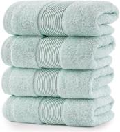 🧼 roiboty cotton hand towels, 4 pack - highly absorbent and super soft face towels for hotel, gym, kitchen, spa, bath, salon - luxury and quality washcloth (light blue, 14 x 28 inch) logo