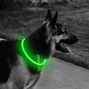 img 3 attached to DOMIGLOW USB Rechargeable LED Dog Collar - 🐶 Adjustable Light Up Dog Collars for Enhanced Visibility & Safety