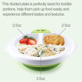 img 3 attached to 🍽️ Matyz Baby Feeding Suction Warm Plate with Draining and Drying Design: Stay Put Divided Plate for Kids - Green