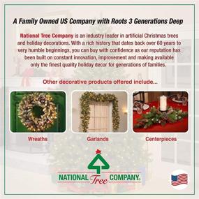 img 1 attached to 🎄 9ft Winchester Pine Artificial Christmas Garland by National Tree Company – Green, Christmas Collection