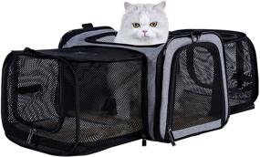 img 4 attached to 🐾 Petsfit Airline Approved Expandable Soft-Sided Carrier for Pets up to 15 lbs: Solid Construction with 2 Large Extensions