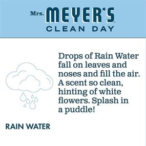 img 1 attached to 🌧️ Mrs. Meyer’s Clean Day RainWater Liquid Hand Soap Refill - 33 oz Bottle: Natural, Refreshing Cleansing for Your Hands