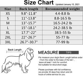img 3 attached to Застежка-молния на комбинезон для восстановления собак - профессиональный хирургический комбинезон для собак, альтернативная воротничок-конус после кастрации, покрывало для повреждений брюшной полости и защита от лижущего поведения для самцов и самок собак.