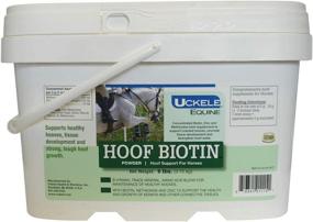 img 1 attached to 🐴 Uckele Hoof Biotin Supplement, Equine Hoof Support Formula, 6lb