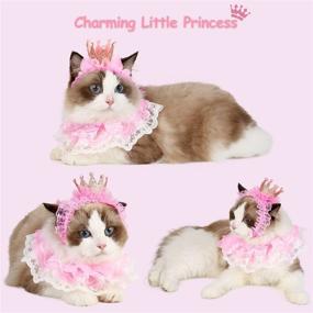 img 1 attached to Legendog Cat Bandana and Princess Costume Set for Cats, Cute Lace Dog Bandanas and Cat Crown Accessories for Small Dogs, Pink Outfit for Cat Birthday Party