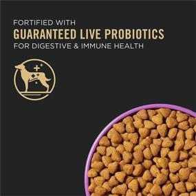 img 3 attached to 🐶 Purina Pro Plan Sport: Boost Energy & Vitality | High Protein 30/20 Beef Dry & Wet Dog Food (Packaging May Vary)