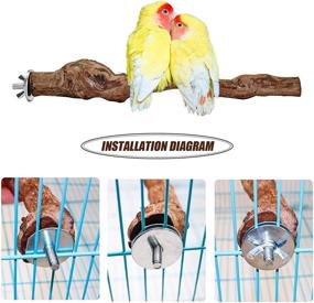 img 1 attached to Premium Natural Grapevine Bird Perch Stands 🐦 for Parrot Cages: Enhance Your Bird's Cage Accessories