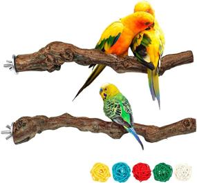 img 4 attached to Premium Natural Grapevine Bird Perch Stands 🐦 for Parrot Cages: Enhance Your Bird's Cage Accessories