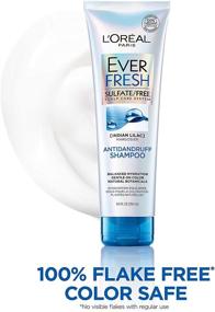 img 1 attached to 🧴 L'Oréal Paris EverFresh Antidandruff Shampoo Sulfate-Free - 8.5 fl oz (396771)