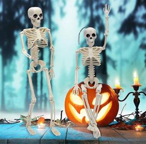 img 1 attached to 🎃 Pair of 16" Fully Posable Skeleton Halloween Decorations for Haunted House, Party, and Desk - Movable Joints, Spooky Holiday Scary Toys, Prizes, and Gifts for Kids