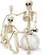 🎃 pair of 16" fully posable skeleton halloween decorations for haunted house, party, and desk - movable joints, spooky holiday scary toys, prizes, and gifts for kids логотип