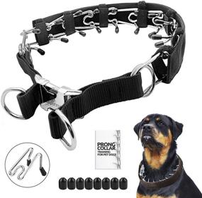 img 4 attached to 🐶 Mayerzon Prong Dog Training Collar: Effective Steel Chrome Plated Pinch Collar with Protector