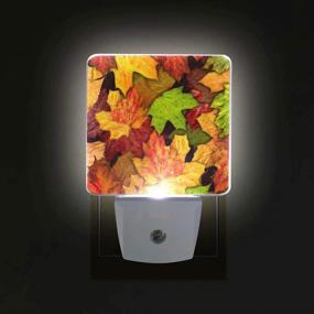 img 1 attached to 🍁 Set of 2 Pfrewn Autumn Colorful Maple Leaf Night Lights for Kids, Adults, Boys, Girls, Babies - Retro Fall Sunflower LED Nightlights with Auto Motion Sensor for Reading, Bathroom, Bedroom - Nursery Decorative