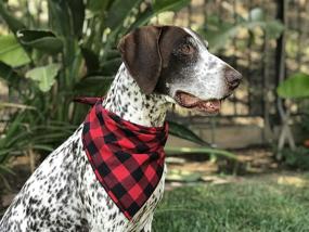 img 2 attached to 🐾 Stylish Willowear Buffalo Plaid Puppy Dog Pet Bandanas for Everyday Adventures!