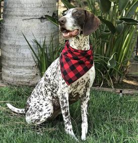 img 3 attached to 🐾 Stylish Willowear Buffalo Plaid Puppy Dog Pet Bandanas for Everyday Adventures!