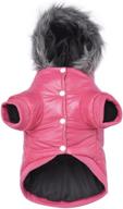 lesypet warm winter coat for small dogs - wind resistant padded jacket for dogs, puppy coats logo