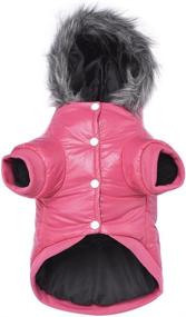 img 4 attached to Lesypet Warm Winter Coat for Small Dogs - Wind Resistant Padded Jacket for Dogs, Puppy Coats