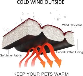 img 2 attached to Lesypet Warm Winter Coat for Small Dogs - Wind Resistant Padded Jacket for Dogs, Puppy Coats