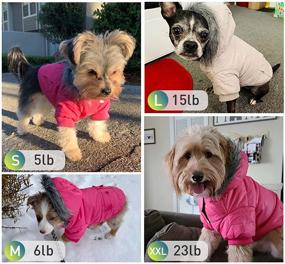 img 1 attached to Lesypet Warm Winter Coat for Small Dogs - Wind Resistant Padded Jacket for Dogs, Puppy Coats
