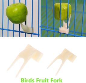 img 2 attached to 🦜 SLO 15-Pack Small Bird Parrot Swing Chewing Toys - Hanging Bell Cage Toys for Small Parakeets, Cockatiels, Conures, Finches, Budgies, Macaws, Parrots & Love Birds