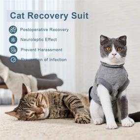 img 2 attached to 🐱 EMUST Cat Recovery Suit - Professional Abdominal Wound and Skin Disease Solution, Breathable E-Collar Alternative for Cats and Kittens, Pet Kitten Cat Onesie Post-Surgery Wear Anti-Licking, Size: M