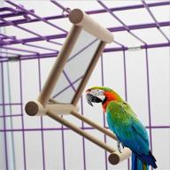 🐦 bird mirror bird swing: playful fun for macaws, greys, parakeets & more! - old tjikko logo