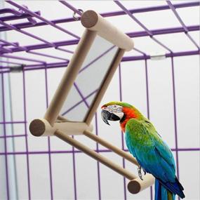 img 3 attached to 🐦 Bird Mirror Bird Swing: Playful Fun for Macaws, Greys, Parakeets & More! - Old Tjikko