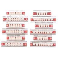 84-piece dental synthetic resin tooth denture set - 3 🦷 sets of false teeth for halloween horror - teeth 23 a2 logo