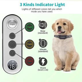 img 3 attached to 🐶 Rechargeable Dog Training Collar with Remote - Beep, Vibration, and Safe Shock Modes, Waterproof IPX7 - Suitable for Large, Medium, and Small Dogs