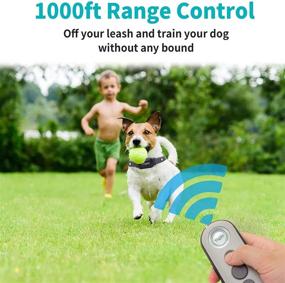 img 2 attached to 🐶 Rechargeable Dog Training Collar with Remote - Beep, Vibration, and Safe Shock Modes, Waterproof IPX7 - Suitable for Large, Medium, and Small Dogs