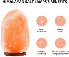 img 2 attached to 🌸 Naturally Shaped ASLUX Pink Salt Lamp with Growing Color - Himalayan Pink Salt Lamp, Sea Salt Lamp, Rock Salt Lamp