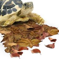 sungrow reptiles maintain terrarium substrate logo