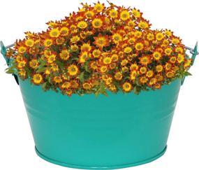 img 3 attached to 🌻 Sunnydaze Set of 10 Decorative Teal Galvanized Steel Buckets - Small Metal Buckets with Handle for Indoor Use - Ideal for Storage, Gardening, Parties, and Decorating