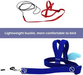 img 1 attached to SZSJBK Bird Harness - Adjustable Parrot Nylon Leash with Anti-bite Design for Outdoor Training and Activities - Perfect for Eastern Bluebonnet Parrot, Cockatoo, Parakeet, Doves - 6.2ft (S)