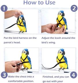 img 2 attached to SZSJBK Bird Harness - Adjustable Parrot Nylon Leash with Anti-bite Design for Outdoor Training and Activities - Perfect for Eastern Bluebonnet Parrot, Cockatoo, Parakeet, Doves - 6.2ft (S)