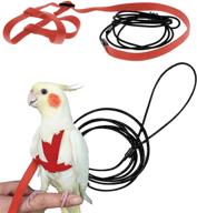 szsjbk bird harness - adjustable parrot nylon leash with anti-bite design for outdoor training and activities - perfect for eastern bluebonnet parrot, cockatoo, parakeet, doves - 6.2ft (s) logo