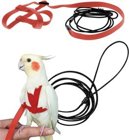 img 4 attached to SZSJBK Bird Harness - Adjustable Parrot Nylon Leash with Anti-bite Design for Outdoor Training and Activities - Perfect for Eastern Bluebonnet Parrot, Cockatoo, Parakeet, Doves - 6.2ft (S)