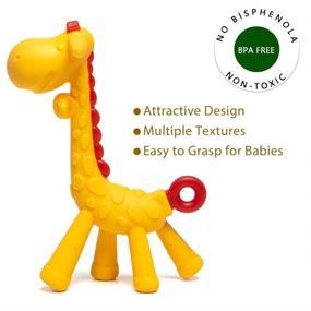 img 3 attached to HONGTEYA Teething Toys for Babies 0-6 Months 6-12 Months Pack of 6 - 4 Baby Teethers and 2 Fruit Feeders for Newborn Infants, BPA Free, Natural Organic, Freezer Safe Silicone Baby Teether Set in Blue