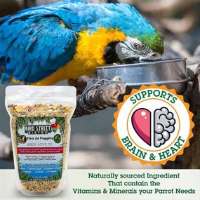 img 2 attached to 🐦 Bird Street Bistro Parrot Food: Quick Cooking Time (3-15 min), Natural & Organic Grains, Legumes, Fruits, Vegetables, Nuts & Spices - No Fillers, Sugars or Sulfites