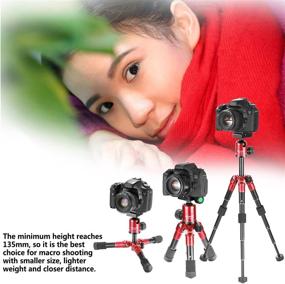 img 2 attached to Neewer Portable Compact Desktop Macro Mini Tripod: 20 inches/50 Centimeters, 360 Degree Ball Head, Quick Shoe Plate, DSLR Camera/Video Camcorder, Red