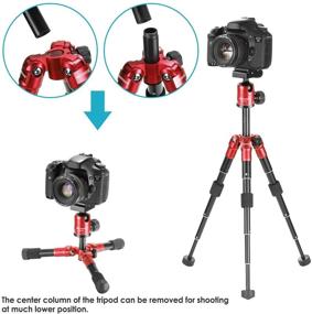 img 3 attached to Neewer Portable Compact Desktop Macro Mini Tripod: 20 inches/50 Centimeters, 360 Degree Ball Head, Quick Shoe Plate, DSLR Camera/Video Camcorder, Red
