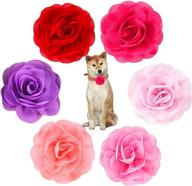 🐶 pet show 6pcs dog collar bows and flowers: pink red female collar embellishments for girly small to medium dogs - perfect accessories for wedding, birthday party, and more! logo