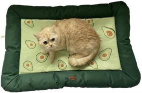 img 1 attached to 🥑 WeePaww Summer Fluffy Cat and Dog Bed All Season - Machine Wash and Dryer Friendly - Anti-Slip Pet Beds Avocado Series (Large Size 33X23)