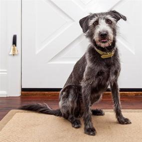 img 2 attached to 🔔 Enhance Dog Communication with the GoGo Bell Deluxe - Featuring a Solid Brass Bell for Clear and Loud Tones