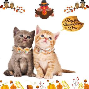 img 2 attached to SOGAYU 2 Pack Thanksgiving Cat Collar Autumn Breakaway with Cute Bow Tie Bell, Kitten Collar Bowtie Safety Removable Adjustable for Kitty Puppy