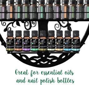 img 3 attached to 🧴 SoCal Buttercup Oval Black Essential Oils & Nail Polish Organizer - Stylish Wall Mounted Storage Shelf with Tree Silhouette - Round Rack for Oil Bottles & Polish (Black)