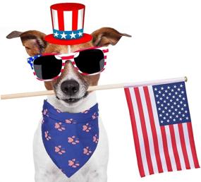 img 3 attached to 🐶 4th of July Dog Bandana for Small, Medium, Large Dogs & Cats - American Flag Design - Pack of 2 (Blue)